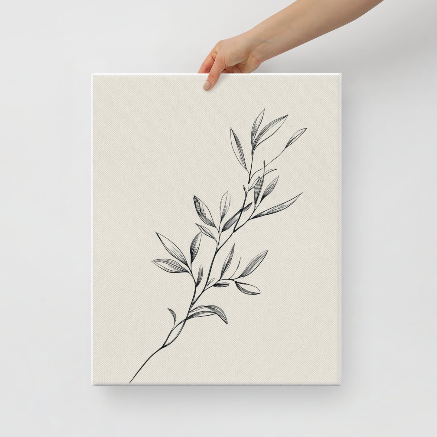 Olive Branch Study